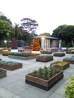 DSC_3615.JPG