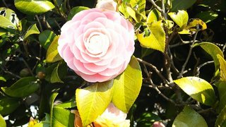 IMG_20170414_080157.jpg