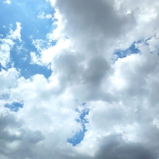 IMG_20180801_142725.jpg