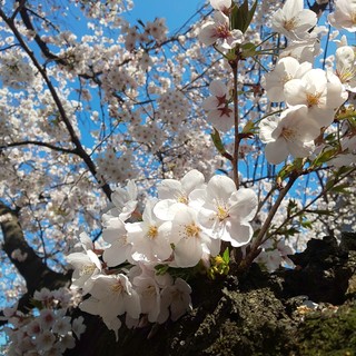 IMG_20190406_002435.jpg